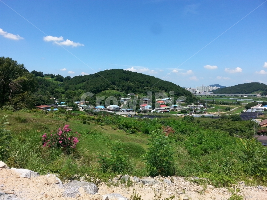 시골,세종시,마을,푸르름,청색,시골,마을,풍경,landscape,country,rural,town