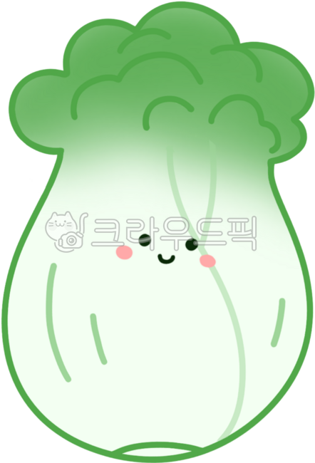 배추, 양배추, 초록, 그린, cabbage, 사진,이미지,일러스트,캘리그라피 - hsjeon83작가