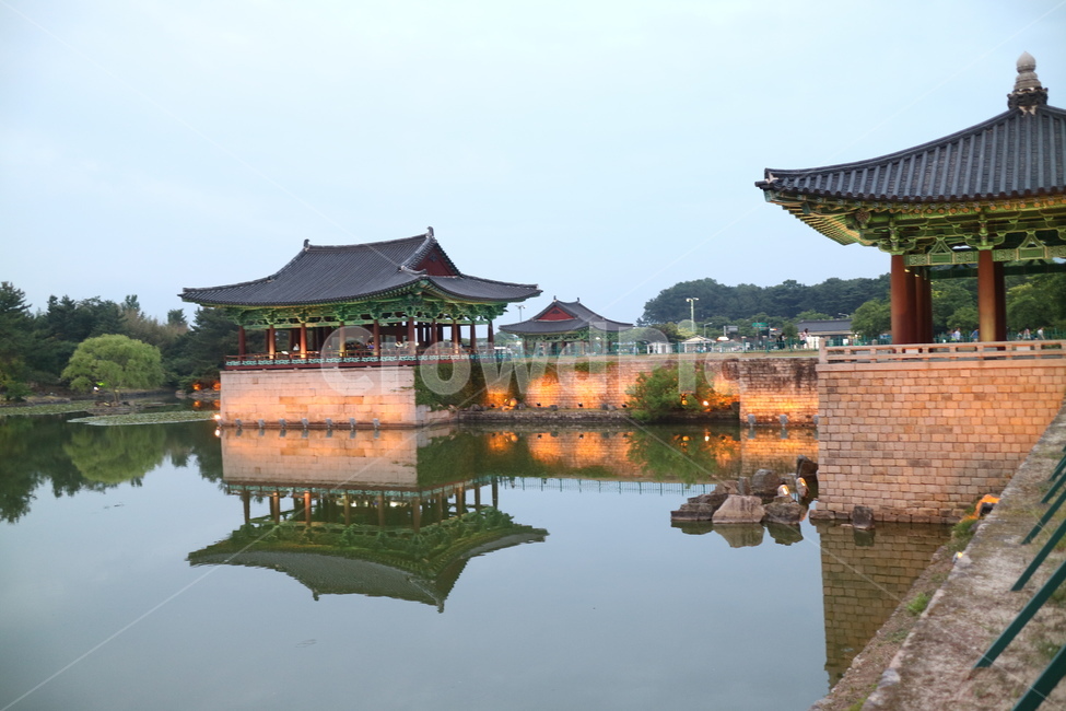 경주,안압지,동궁과월지,야경,호숫가,호수가,호수가야경