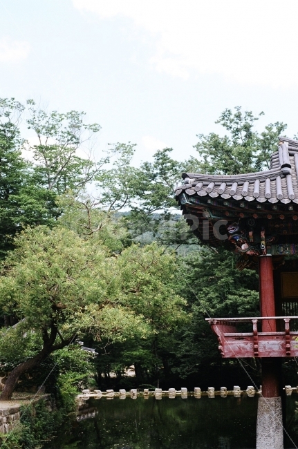 필름사진,풍경사진,순천송광사,송광사,절,한국전통,한국문화,korean traditional,korean culture,건축물,건물외관,exterior,building,structure,architecture,construction