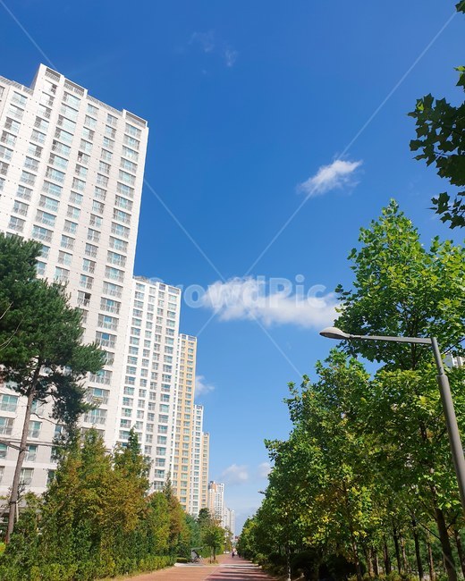 길,로드,road,빌딩,city,도시,town,어반,urban,고층건물,highrise,건물