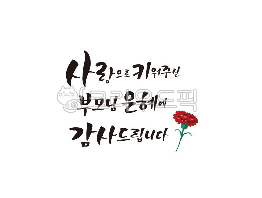 love,In May,mom,carnation,cheering phrase,Gratitude Cali,happy birthday phrase,filial piety,Thank you for your love,filial duty,Thank you,family month,congratulatory message,Parents Day Design,Parents Day Stationery,handwriting,Anniversary,Parents grace,M