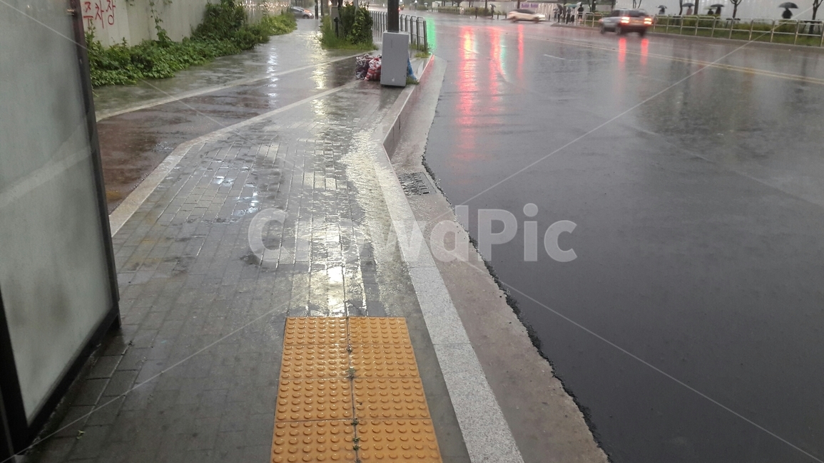 비,거리,도로,비오는날,밤,비,비오는날,rain,rainy