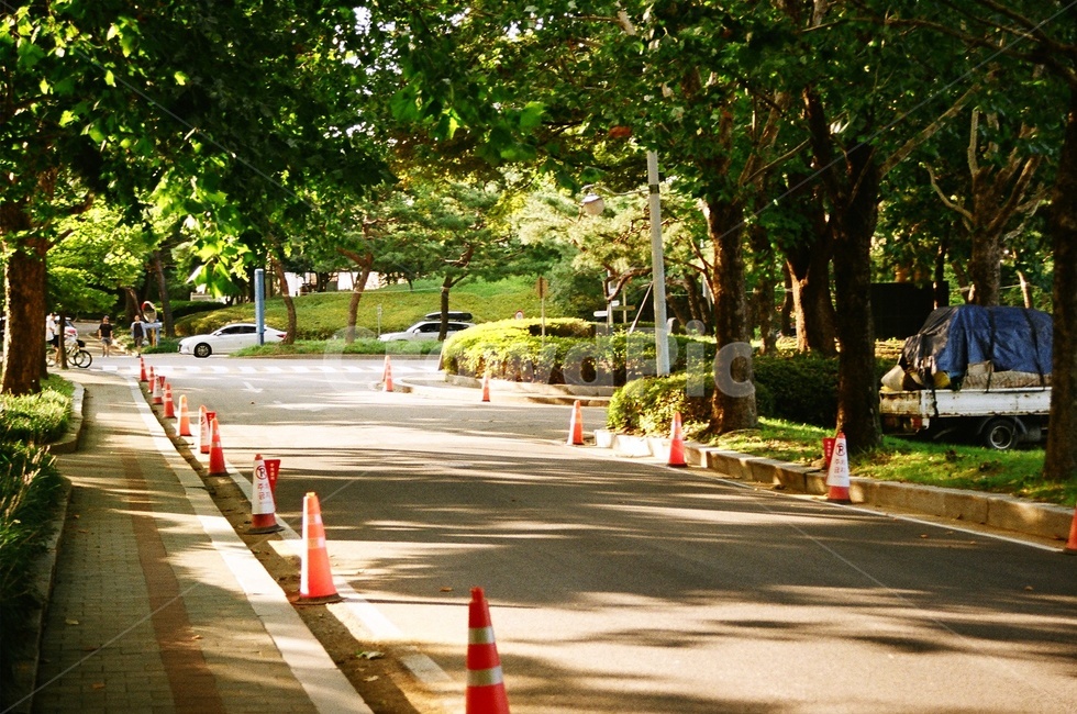 길가,street,way,path,road,햇빛,따사로운,분위기,가을,풍경,필름,필름사진,film,감성,감성사진,색감,sensitivity,도로,차도