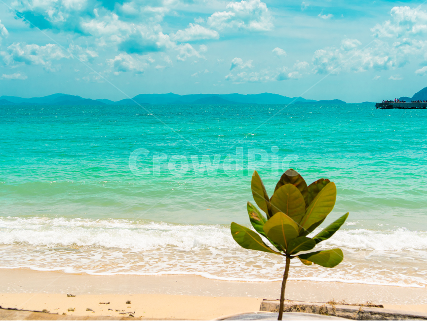 beach,coast,여름,바다,해변,summer,휴가,파라다이스,해변,바다,beach,sea