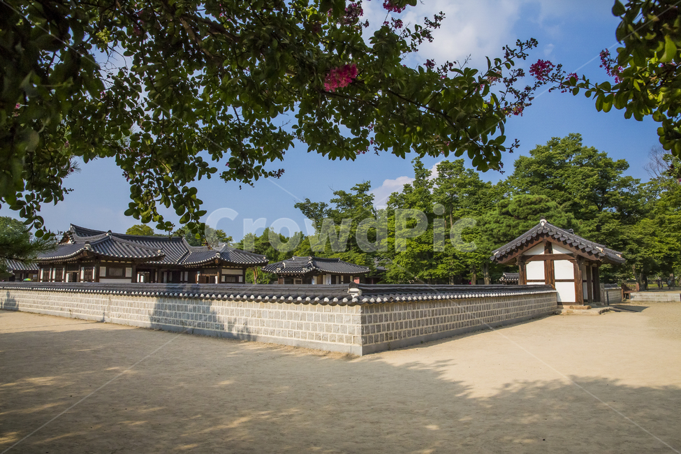 풍경,유적,역사유적,경기전,전각,문화재,사적제339호,기와집,고건축,한옥,담장,여름,나무,느티나무,고목