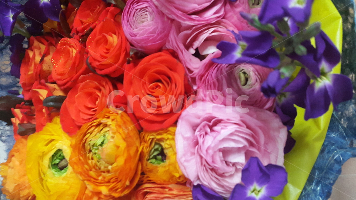 꽃,플라워,꽃다발,부케,장미,flower,bouquet,rose,이벤트,event,서프라이즈,surprise,컬러풀,colorful,생일,birthday,축하,파티,party,선물,present,따뜻한,부드러운,감성적인