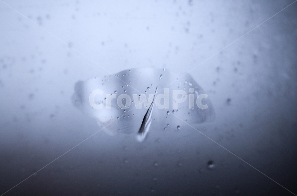 droplet,작은물방울,비,rain,창문,window,비,비오는날,rain,rainy