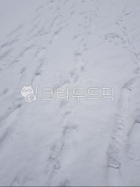 발자국,눈편지지,눈배경,감성,질감,겨울,하얀배경,겨울,계절,winter,season