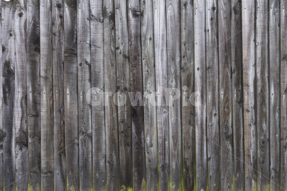 wooden floor,texture,tree,pattern,background image,wood pattern,tree background,background,wooden wall,wall,design source