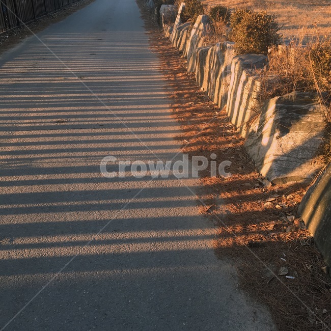 아스팔트,asphalt,road,도로,노을,그림자
