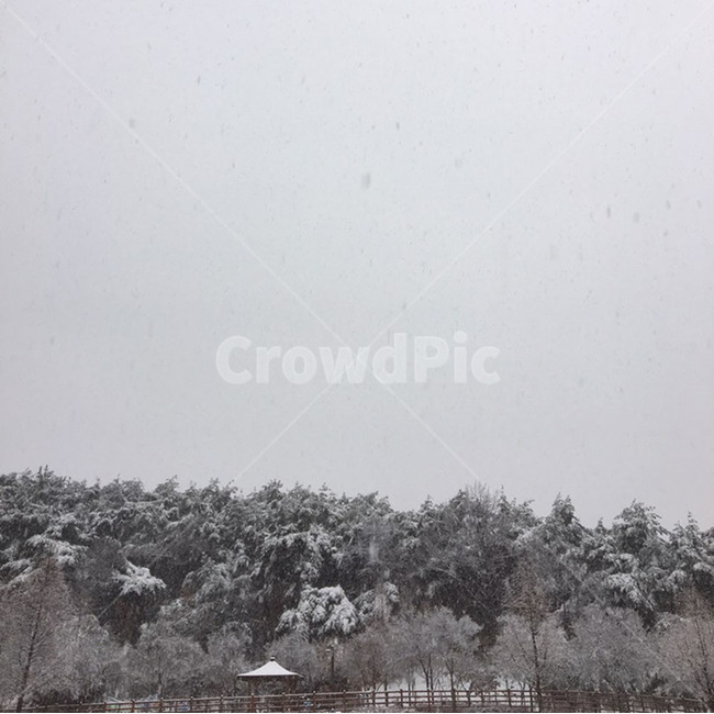 nature,자연,outdoors,옥외,ice,눈,겨울,산,하늘,snow,겨울,계절,winter,season