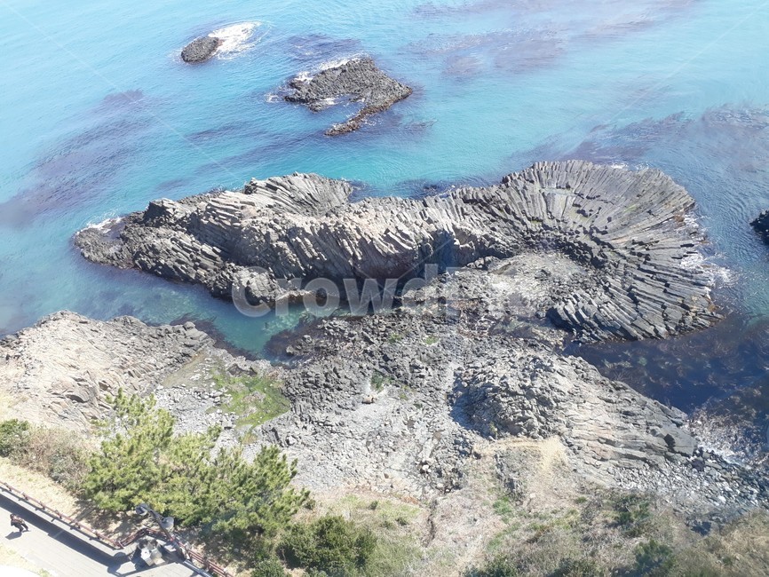 자연,옥외,대양,물,해안선,바다,주상절리,동해,풍경,경치,outdoors,ocean,water,shoreline,sea,나무,tree,view,landscape,columnarjoint