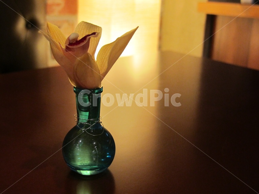 꽃,탁자,데코,장식,화병,vace,분위기,flower,감성적,decoration,인테리어