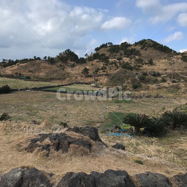 ground,바닥,outdoors,nature,자연