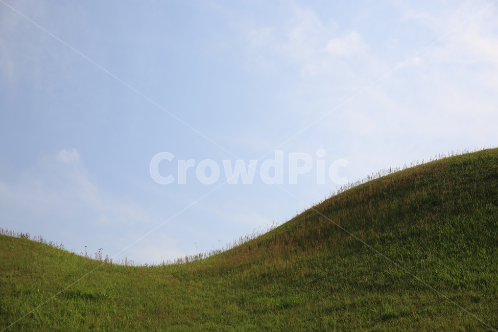 field,들,grassland,잔디,경주왕릉,언덕,자연,풍경,nature,landscape,목초지,outdoors,옥외