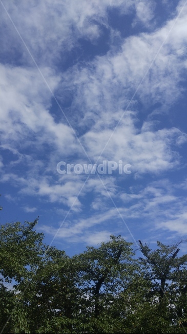 하늘풍경,하늘,맑은하늘,가을하늘,구름,푸른하늘,자유,이상,꿈,바램,자연,outdoors,nature,sky