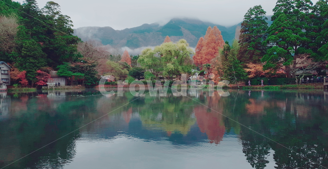 일본,호수,단풍,가을,나무,산,연못,가을,계절,fall,autumn,season,자연,풍경,nature,landscape,tree,plant,식물,water,물,outdoors,옥외