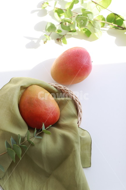 과일,망고,레드망고,과일선물,식물,food,음식,fruit,과일,열매,fruit