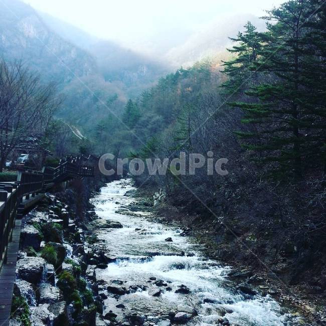 계곡,산,풍경,landscape,valley,자연,풍경,nature,landscape,outdoors,옥외,water,물,stream,흐름,creek,작은 만