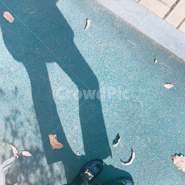 shadow,그림자,다리,여자,가을,낙엽
