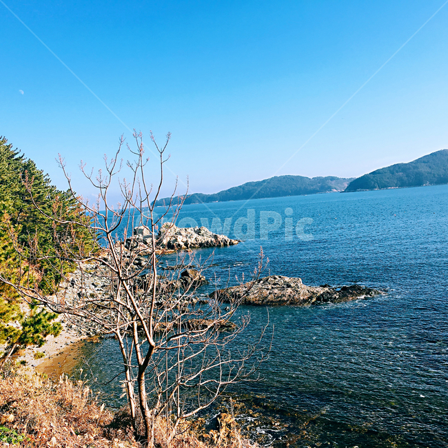 거제도,거제바다,바다,sea,산,해안선