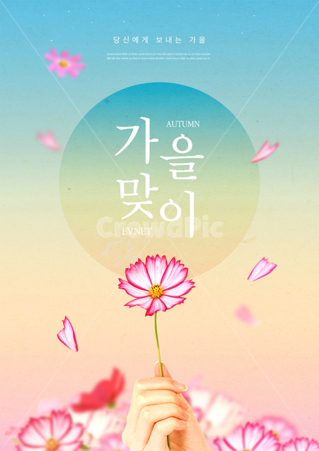 코스모스,꽃,꽃잎,손,핸드모션,가을,시즌,이벤트,쇼핑,할인,세일,광고,포스터,편집,가을,계절,fall,autumn,season,그래픽,일러스트레이션,graphic,illustration