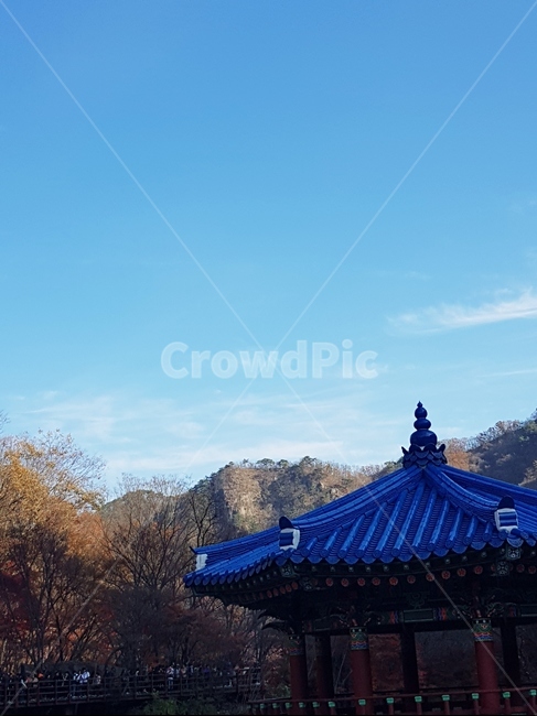 단풍,내장산,가을,하늘,풍경,국립공원,적막,새벽,한적함,햇빛,기둥,산,팔각정