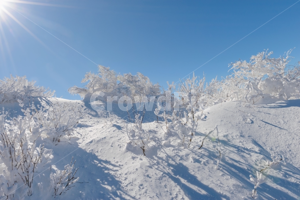 겨울,하늘,눈풍경,상고대,덕유산,겨울경치,겨울나무,빛,겨울산,겨울,계절,winter,season,자연,풍경,nature,landscape,outdoors,옥외,snow,눈
