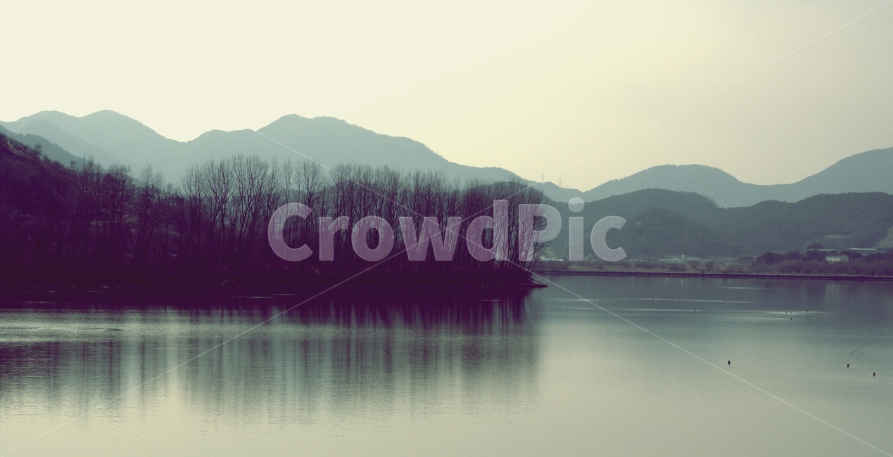 겨울,호수,외로움,풍경,나무,숲,겨울,계절,winter,season,자연,풍경,nature,landscape,water,물,outdoors,옥외,tree,plant,식물