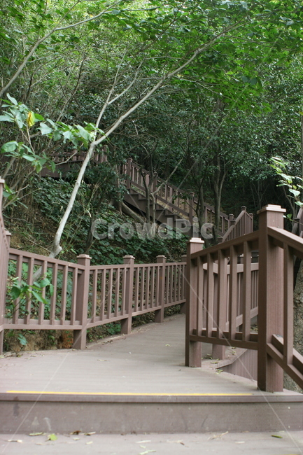 산책,산책길,숲속,산속,숲,나무,산,자연,풍경,nature,landscape,garden,정원,outdoors,옥외,arbour,정자