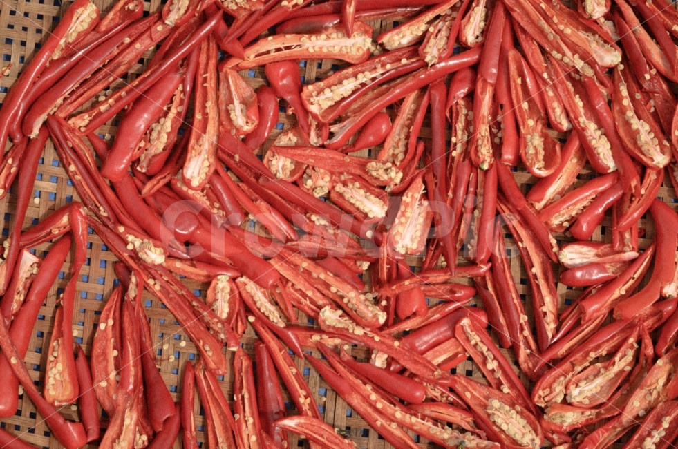 고추,가을,사진,감성,풍경,음식,식재료,요리,food,cook,meal,dishes,food reserves,채소,야채,vegetables