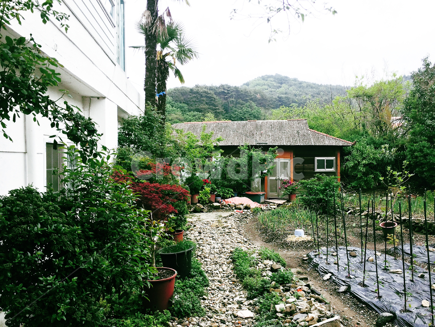 garden,옥외,outdoors,정원,주택,텃밭
