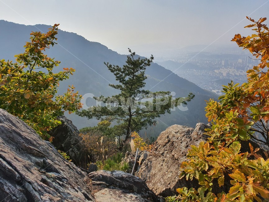 nature,자연,단풍,산,가을,autumn,단풍나무,가을산,계절,tree,나무,풍경,가을,계절,fall,autumn,season,자연,풍경,nature,landscape