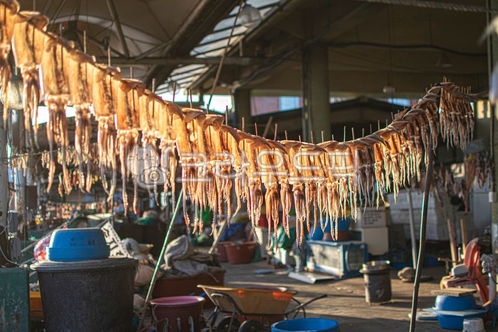 seafood,dry,dried squid,dried fish,driedsquid,drying work,fish,calamari,squid,Drying Squid
