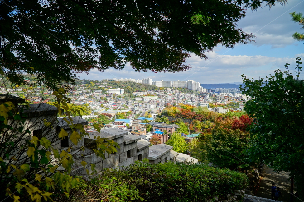 한양도성,한양도성길,순성,순성길,한양도성순성,가을,단풍,나무,성벽,자연,한국,한국적인,서울,코리아,seoul,korea,한국문화,한국전통,전통,문화,전통문화,문화재,유적,유적지,한국문화재,조선,조선왕조,풍경,landscape,autumn,fall,tree,castle,캐슬,하늘,구름,sky,cloud,도시,대도시,시티,city,건물,빌딩,building,scenery,scene,view,한국자연,nature,경치,가을,계절,fall,autumn,season,도시,풍경,city,landscape,한국도시풍경,한국도시경관,korea cityscape,outdoors,옥외
