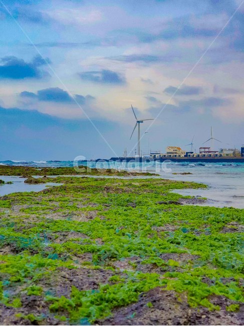 배경화면,풍력,이끼,바다,하늘,sky,wind,sea,moss,power