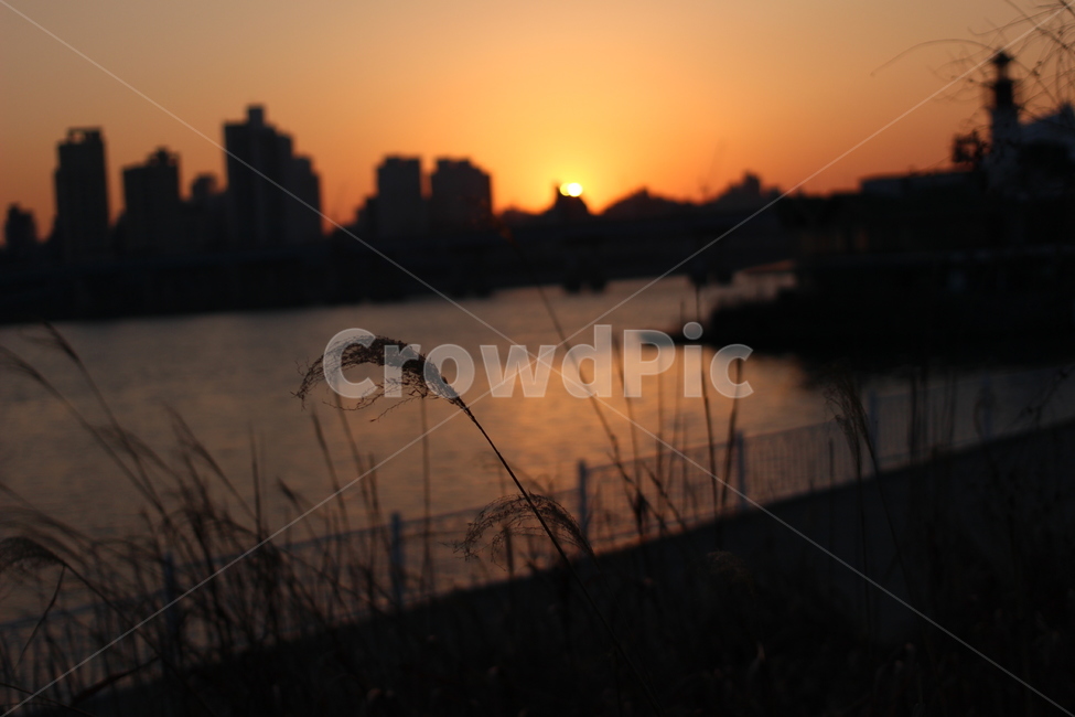 감성,강변,일몰,한강,물결,도시,풍경,city,landscape,한국도시풍경,한국도시경관,korea cityscape,실루엣,그림자,silhouette,shadow,grass,잔디,plant,식물