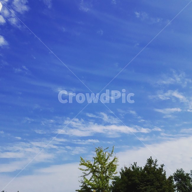 nature,자연,outdoors,옥외,하늘,구름,cloud,sky,자연,풍경,nature,landscape
