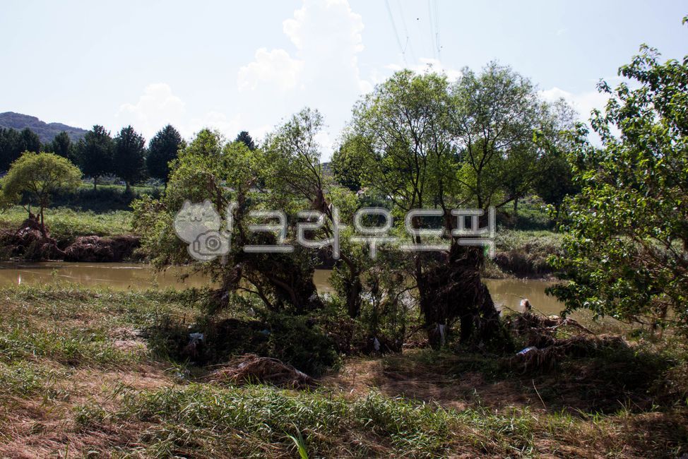 damage,Natural Disasters,outdoors,nature,The rainy season,Disaster,Rainy season damage,flood