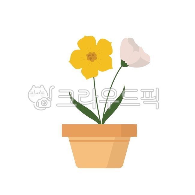 atmosphere,pot,pot flower,plant,tree,Lily,flower,Herb