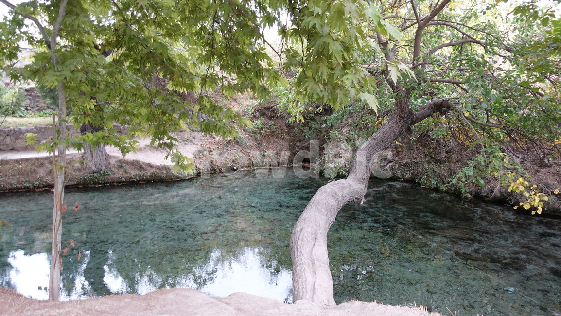 lake,호수,연못,자연,nature,blue,파랑,나무,tree