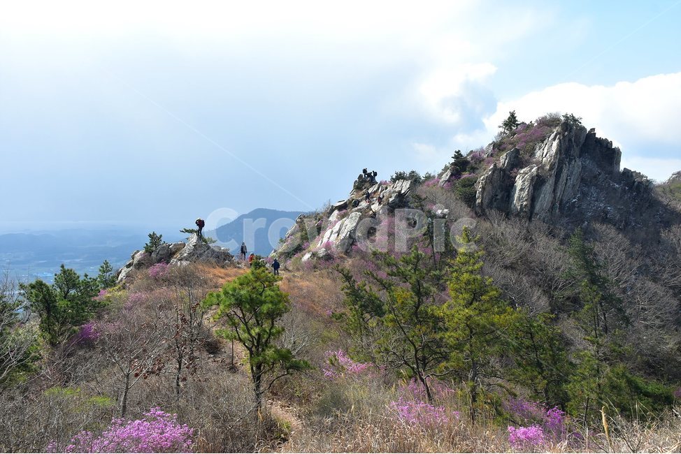 주작산,덕룡산,종주,진달래,풍경,기암,바위,비경,봄풍경,진달래꽃,강진,명산,산행,등산,마운틴,힐링,mountain,landscape,자연,natural,봄,계절,spring,season,자연,풍경,nature,landscape,한국자연풍경,한국자연경관,korea nature landscape,outdoors,옥외,slope,경사