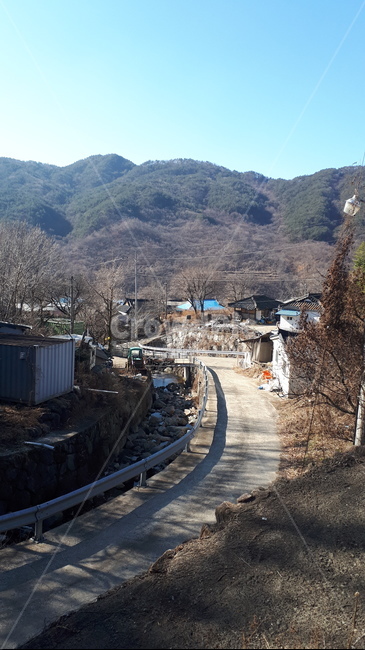 시골,겨울,나무,고향마을,파란하늘