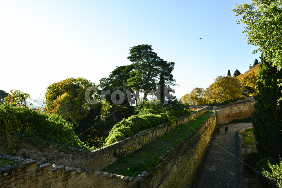 castle,architecture,건축물,building,건물,궁전