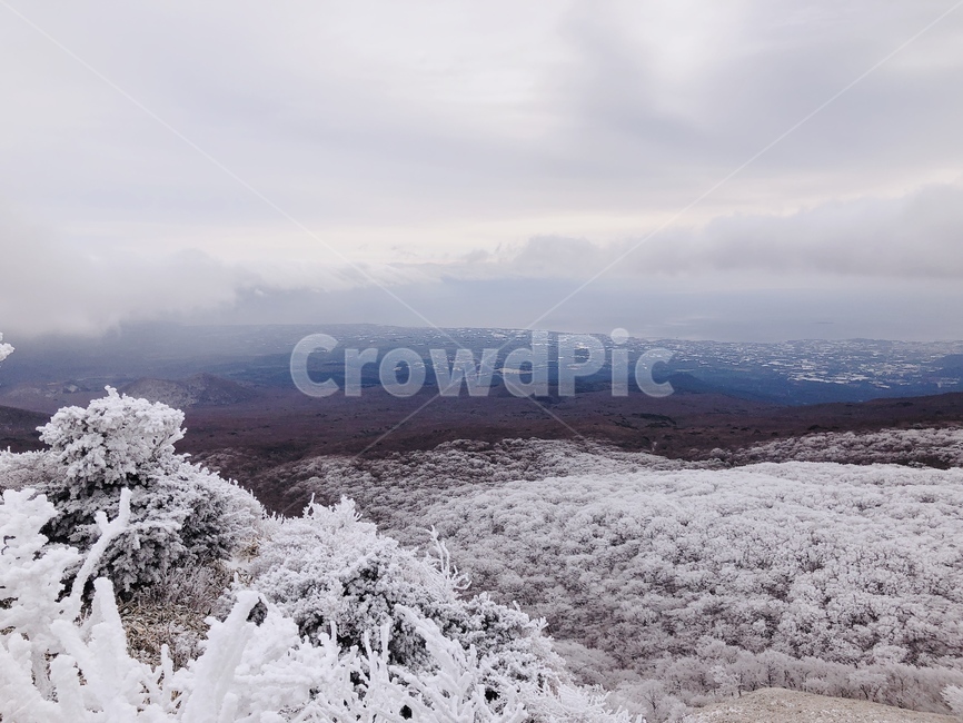 한라산,눈꽃,눈꽃산행,설산,눈꽃전망대,겨울,계절,winter,season