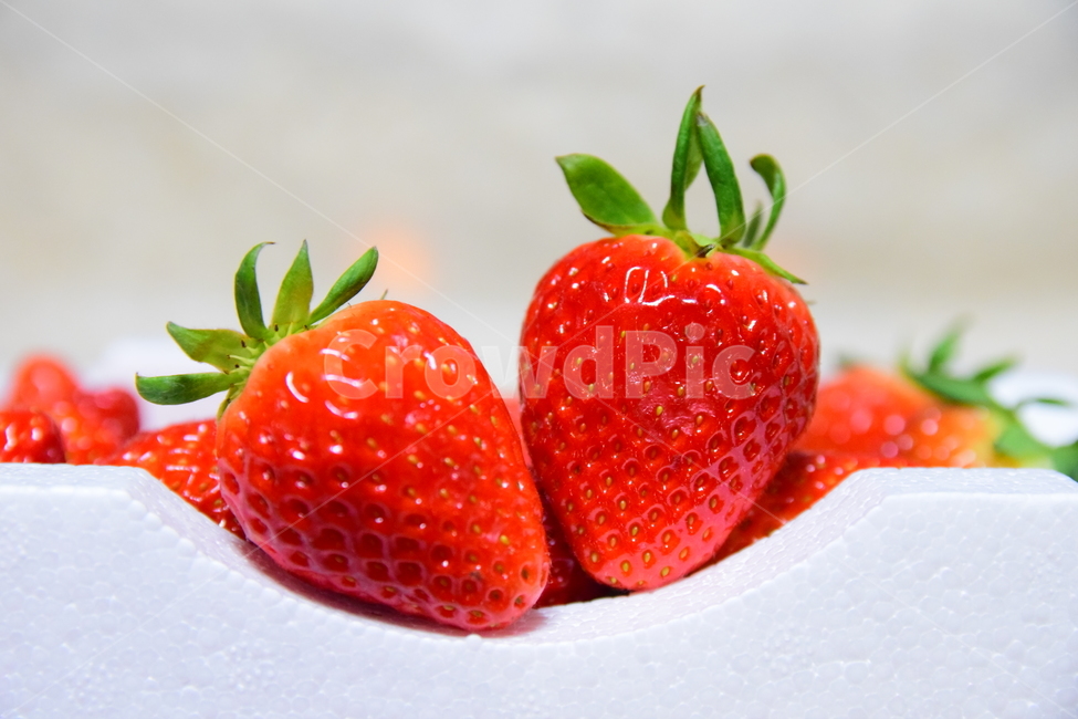 딸기,음식,과일,푸드,후식,스트로베리,strawberry,빨강,dessert,신선한,식재료,요리,food,음식,식재료,요리,food,cook,meal,dishes,food reserves,과일,열매,fruit