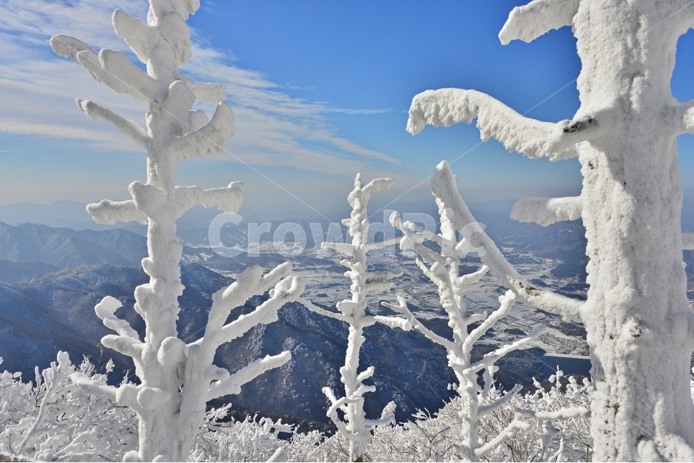 snow,눈,nature,자연,outdoors,옥외,ice,빙,mountain,산,mountainrange,산맥,무주,덕유산,덕유산설경,겨울,계절,향적봉,중봉,상고대,나무,겨울,계절,winter,season