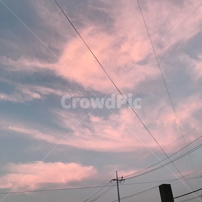 하늘,자연,분홍하늘,노을,초저녁