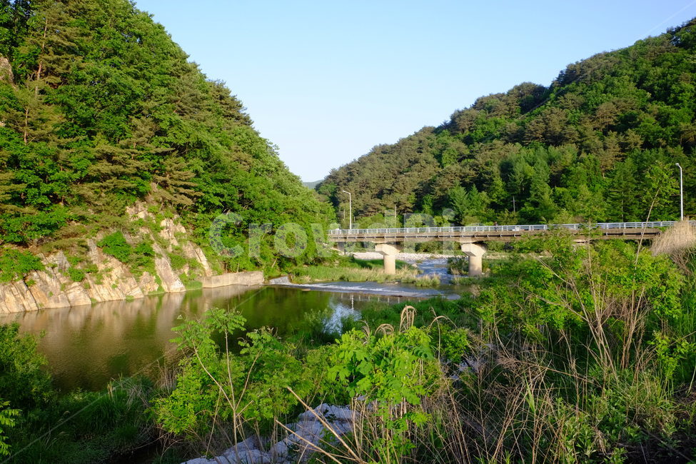자연,저수지,강,나무,산